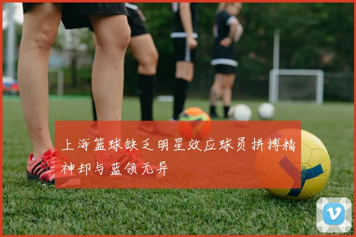 上海篮球缺乏明星效应球员拼搏精神却与蓝领无异