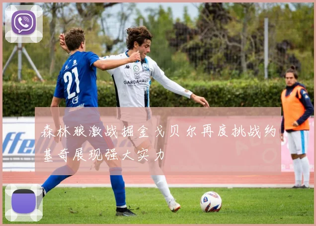 森林狼激战掘金戈贝尔再度挑战约基奇展现强大实力