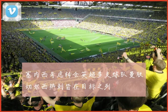 塞内西考虑转会英超多支球队曼联切尔西热刺皆在目标之列